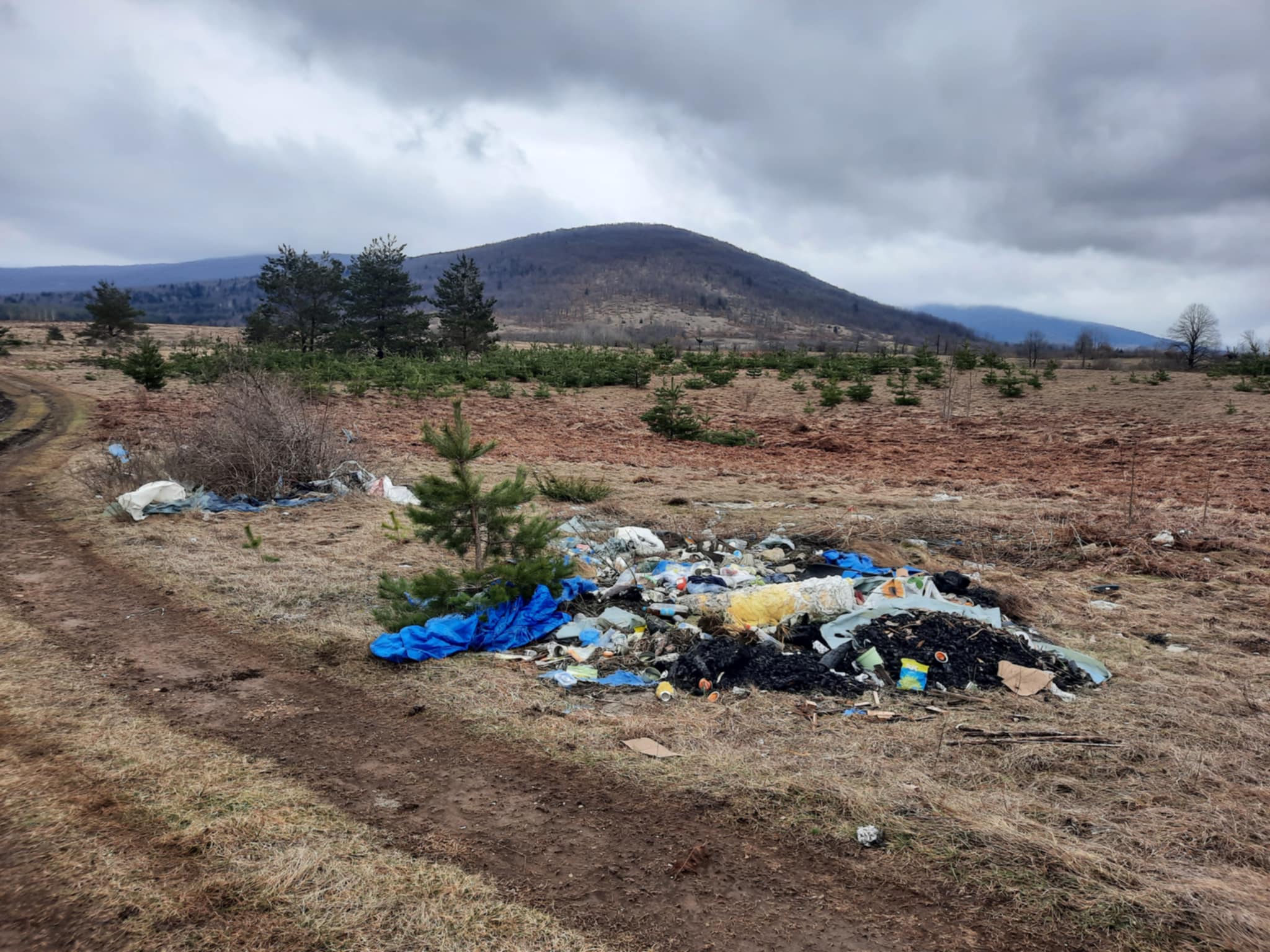 Messenger creation AC08E51D 186F 42C4 9635 4BD34B8F929F